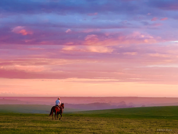 Last Watch Over the Flint Hills - Framed Paper Giclee